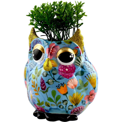 Uil Olive | Plantenpot