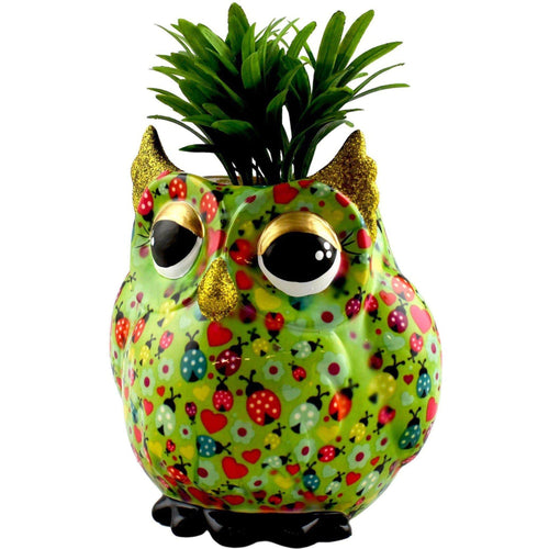 Uil Olive | Plantenpot