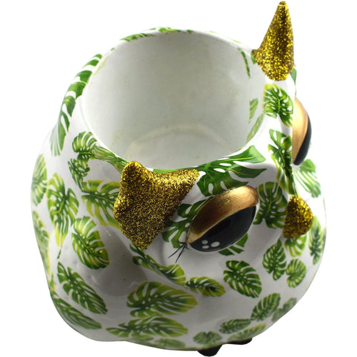 Uil Olive | Plantenpot